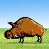 play Hog Hunter