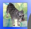 play Put Your Pet In A Puzzle