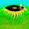 play Sunflower