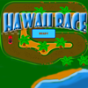 play Hawaii Race 2