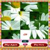 Flower Photo Puzzle