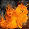play Flame Cat Slide Puzzle