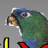 play Bordy Gordy