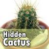 play Hidden Cactus