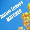 Autum Leaves Matcher