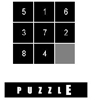 play A Puzzle To Mental Exercise And Improve Intelligence
