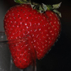 play Strawbery Puzzle
