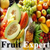 play Fruit Expert
