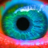 play Eye Puzzle