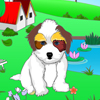 play Baby Shih Tzu