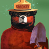 play Smokey Bear Jigsaw Puzzle