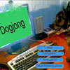 play Dogjong