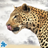 play Leopard Jigsaw Puzzle