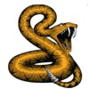 play Snake Pro - Vipera Berus