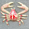 play Crab Attack