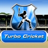 play Turbo Cricket