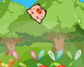 play Hungry Pig