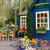 play Jigsaw: Blue Cottage