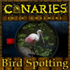 play Canaries In A Coalmine - Bird Spotting