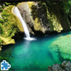 play Jamaica - Reich Falls
