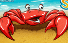 play Shuck & Jive