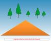 play Organize The Trees (Organiza Los Arboles)