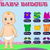 Baby Budget