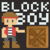 play Block Boy