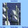 play Swan Jigsaw Puzzle