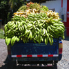 play Jigsaw: Banana Truck