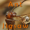 play Ant Jigsaw