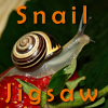 play Snail Jigsaw