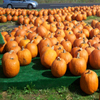 play Jigsaw: Pumpkin Market