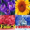 play Four Seasons: Spring, Summer, Autumn Or Winter?
