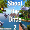 play Nea'S - Shoot The Birds 2