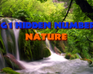 play Mg1 Hidden Numbers Nature