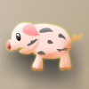 play Catch Pig 抓猪
