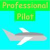 play Professional Pilot