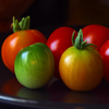 play Jigsaw: Colorful Tomatoes