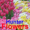 play Flowers Hunter