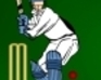 play Ipl Cricket 2012