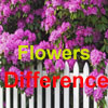 play Spot Difference - Flowers