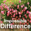 play Impossible Spot Difference