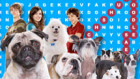 play Hotel For Dogs: Word Search