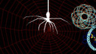 play Spidergraph Clickamajig