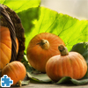 play Solar Pumpkins Jigsaw Puzzle