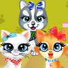 play Pets Beauty Salon 2