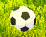 play Go Ball