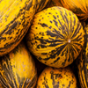 play Jigsaw: Yellow Melons