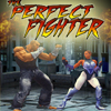 play The Perfect Fighter 1.9
